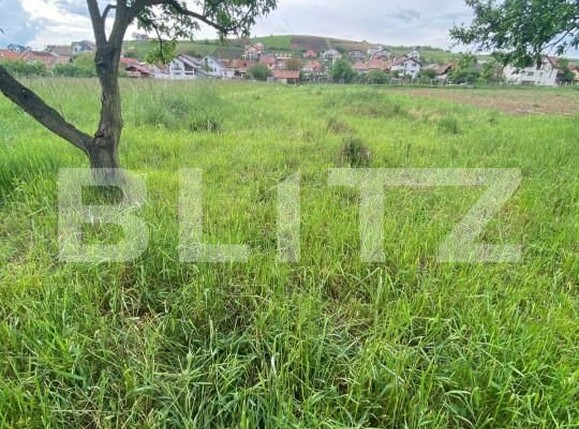 Teren de vânzare Exterior Nord - 145916TV | BLITZ Sibiu | Poza4