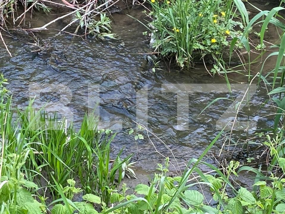 Teren de vânzare Exterior Nord - 145916TV | BLITZ Sibiu | Poza3