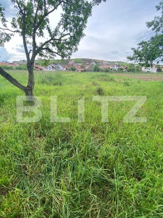 Teren de vânzare Exterior Nord - 145916TV | BLITZ Sibiu | Poza4
