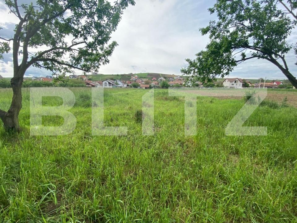 Teren de vânzare Exterior Nord - 145916TV | BLITZ Sibiu | Poza2