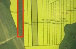 Teren extravilan, 11500 mp, Cristian