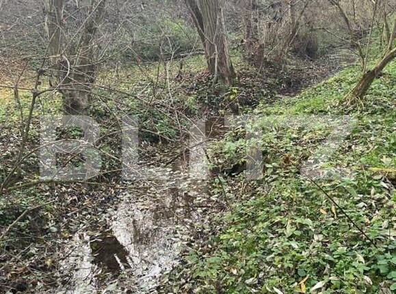 Teren de vânzare Exterior Est - 145918TV | BLITZ Sibiu | Poza3