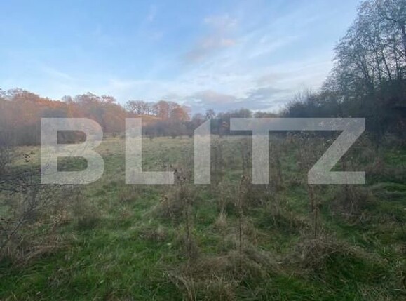 Teren de vânzare Exterior Est - 145918TV | BLITZ Sibiu | Poza6