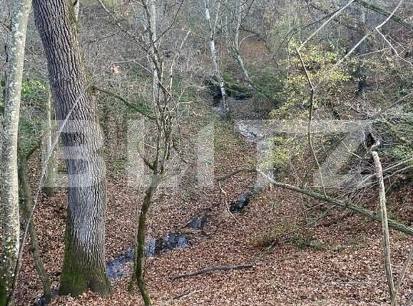 Teren de vânzare Exterior Est - 145918TV | BLITZ Sibiu | Poza10