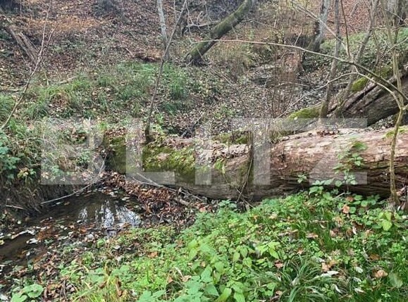 Teren de vânzare Exterior Est - 145918TV | BLITZ Sibiu | Poza8