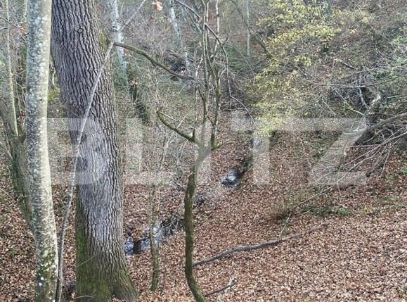 Teren de vânzare Exterior Est - 145918TV | BLITZ Sibiu | Poza5