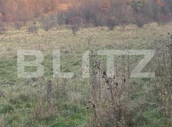 Teren de vânzare Exterior Est - 145918TV | BLITZ Sibiu | Poza7