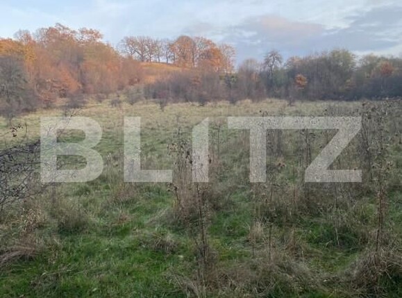 Teren de vânzare Exterior Est - 145918TV | BLITZ Sibiu | Poza1