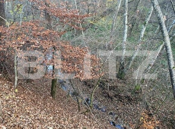 Teren de vânzare Exterior Est - 145918TV | BLITZ Sibiu | Poza4