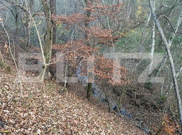 Teren de vânzare Exterior Est - 145918TV | BLITZ Sibiu | Poza9