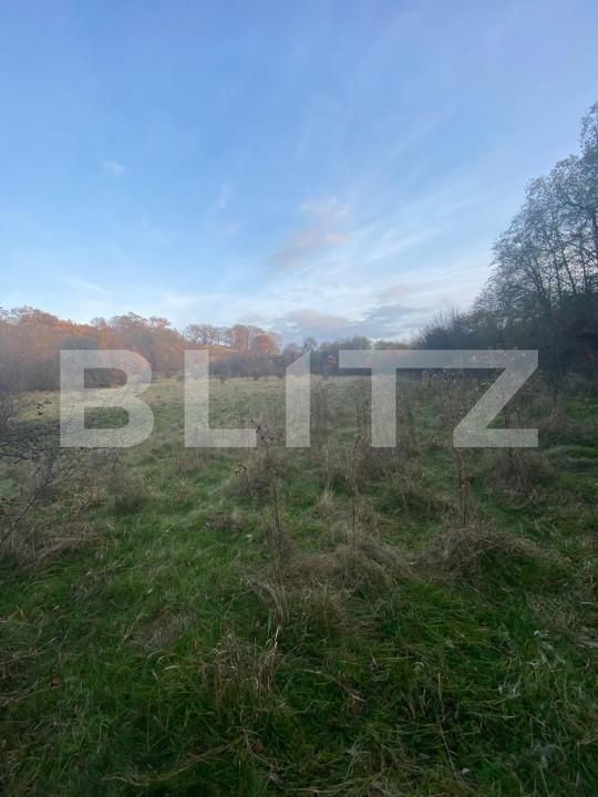 Teren de vânzare Exterior Est - 145918TV | BLITZ Sibiu | Poza6