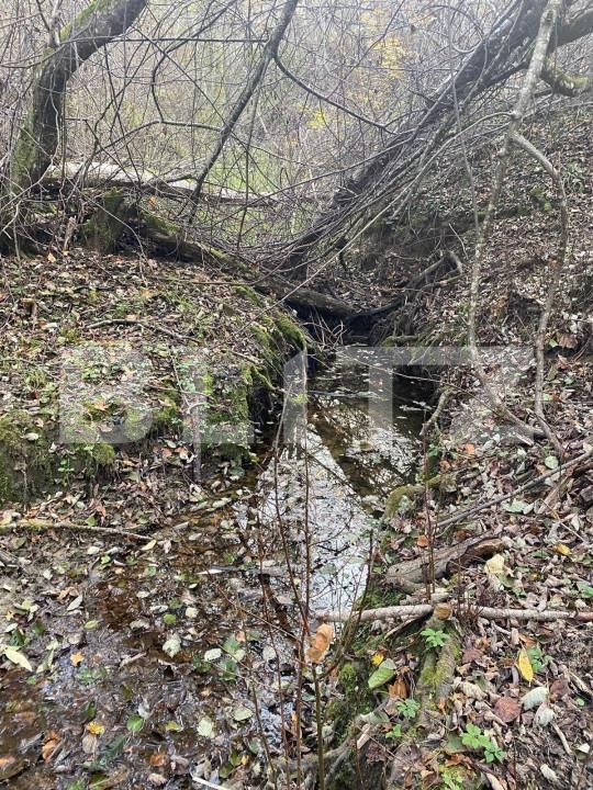 Teren de vânzare Exterior Est - 145918TV | BLITZ Sibiu | Poza2