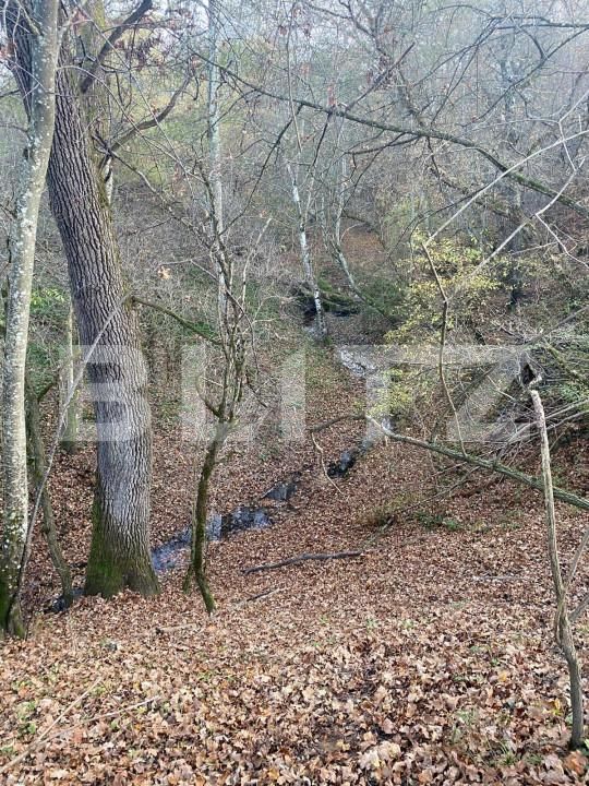 Teren de vânzare Exterior Est - 145918TV | BLITZ Sibiu | Poza10