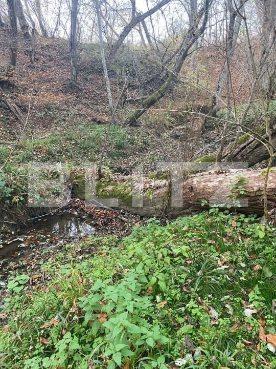 Teren de vânzare Exterior Est - 145918TV | BLITZ Sibiu | Poza8