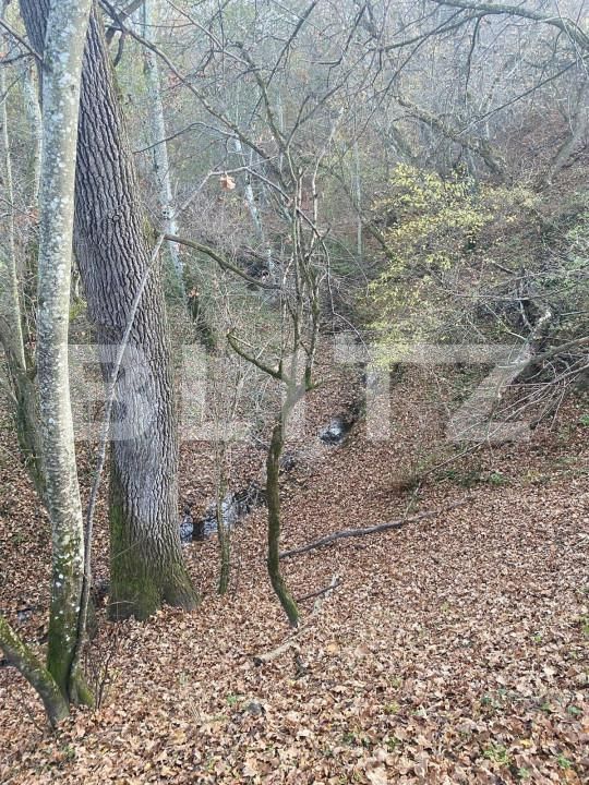 Teren de vânzare Exterior Est - 145918TV | BLITZ Sibiu | Poza5