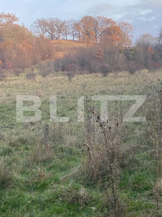 Teren de vânzare Exterior Est - 145918TV | BLITZ Sibiu | Poza7