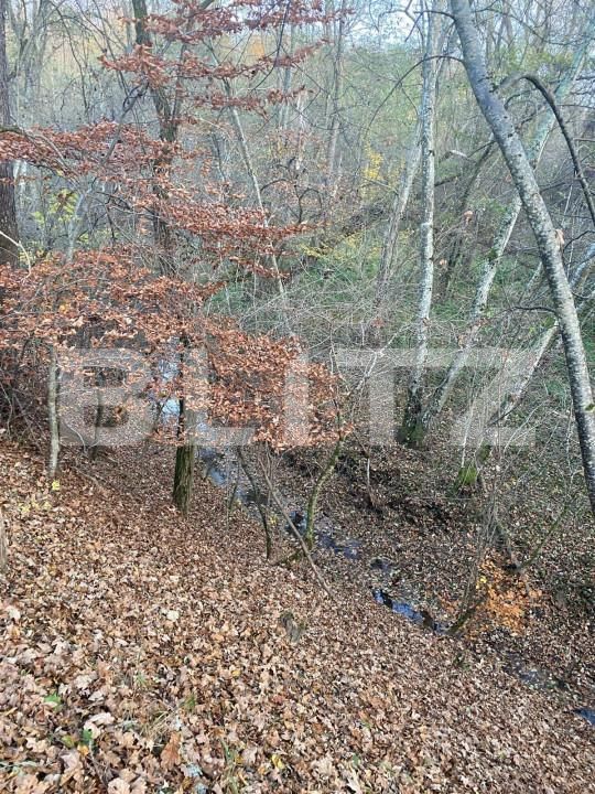 Teren de vânzare Exterior Est - 145918TV | BLITZ Sibiu | Poza4