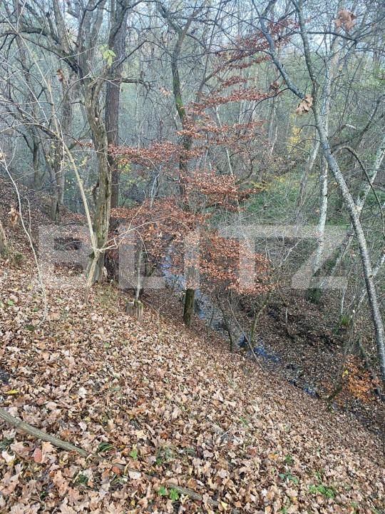 Teren de vânzare Exterior Est - 145918TV | BLITZ Sibiu | Poza9