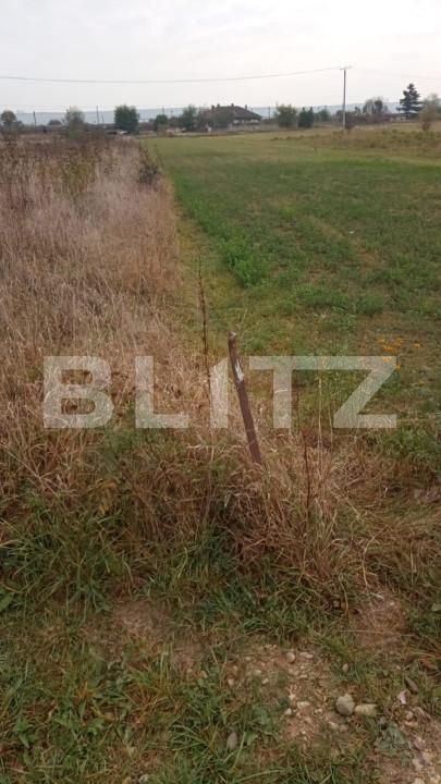 Teren de vânzare Șelimbăr - 145931TV | BLITZ Sibiu | Poza5