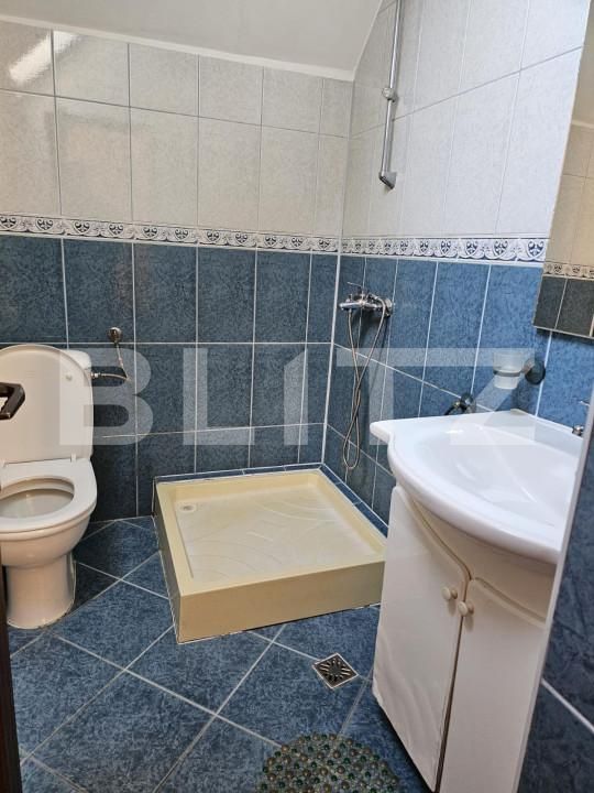 Casa de închiriat 7 camere Turnisor - 145932CI | BLITZ Sibiu | Poza7