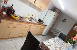 Casa, 120 mp, teren 4716 mp, piscina, pivnita, zona Est