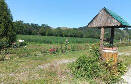 Casa, 120 mp, teren 4716 mp, piscina, pivnita, zona Est