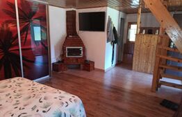 Casa, 120 mp, teren 4716 mp, piscina, pivnita, zona Est