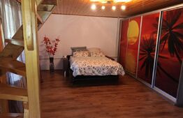 Casa, 120 mp, teren 4716 mp, piscina, pivnita, zona Est