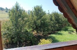 Casa, 120 mp, teren 4716 mp, piscina, pivnita, zona Est