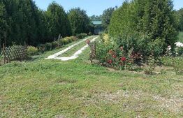 Casa, 120 mp, teren 4716 mp, piscina, pivnita, zona Est