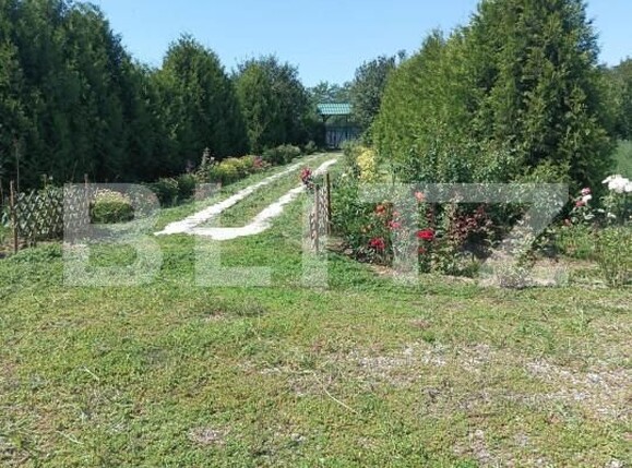 Casa de vânzare 3 camere Exterior Est - 146714CV | BLITZ Sibiu | Poza11