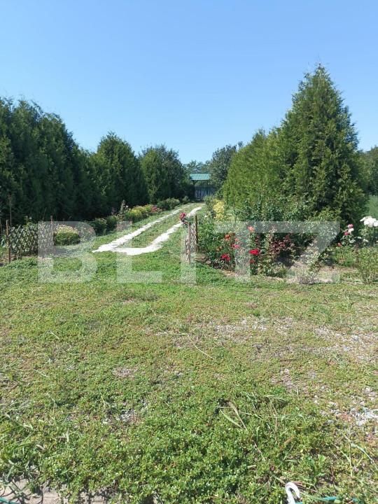 Casa de vânzare 3 camere Exterior Est - 146714CV | BLITZ Sibiu | Poza11