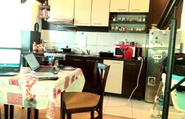 Apartament 3 camere, mansarda, Vasile Aaron