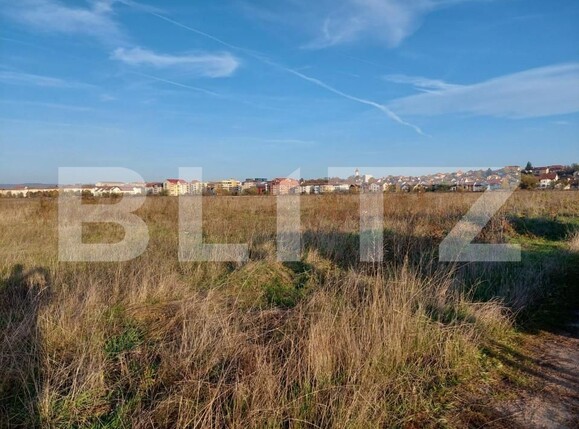 Teren de vânzare Turnisor - 147343TV | BLITZ Sibiu | Poza3