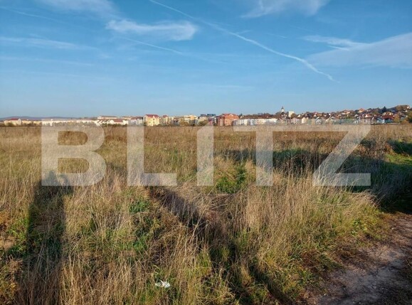 Teren de vânzare Turnisor - 147343TV | BLITZ Sibiu | Poza1