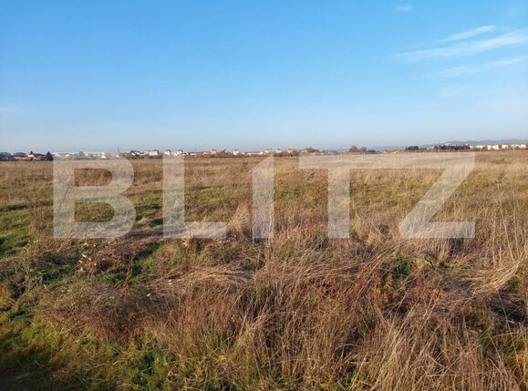 Teren de vânzare Turnisor - 147343TV | BLITZ Sibiu | Poza2