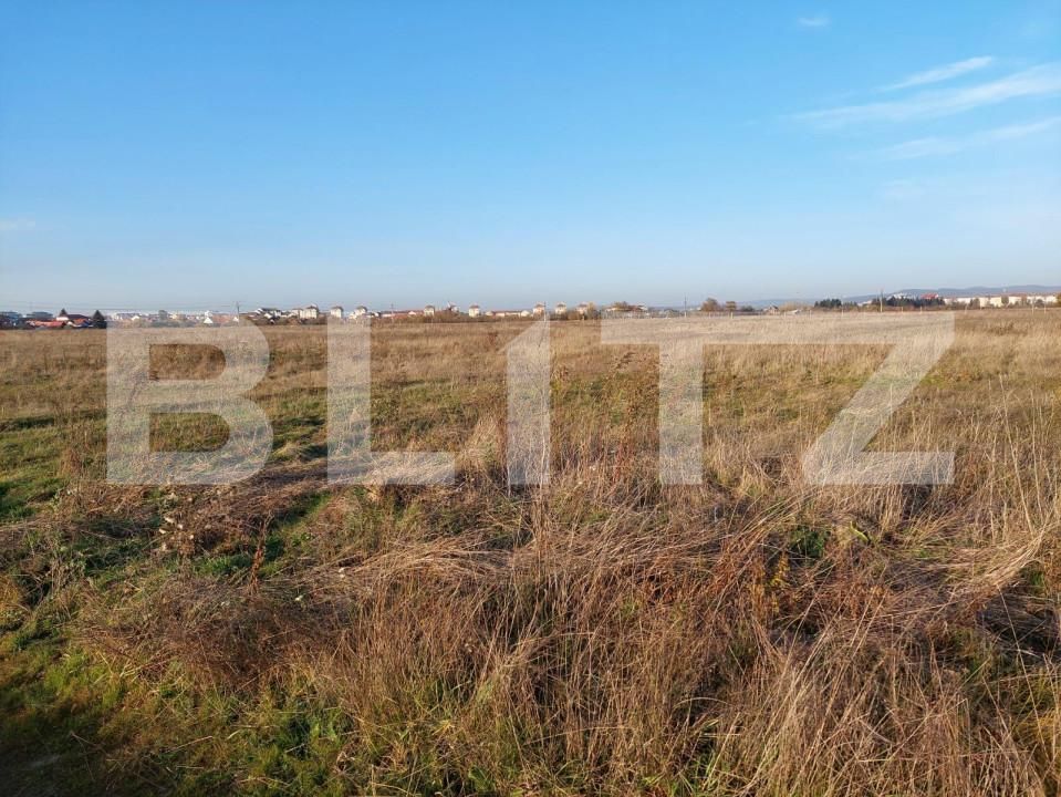 Teren de vânzare Turnisor - 147343TV | BLITZ Sibiu | Poza2