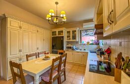 Casa deosebita, 3000 mp de teren, Calea Plopacii