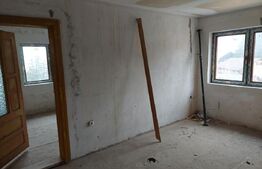 Vila 17 camere, 500 mp, 250 mp teren, Paltinis