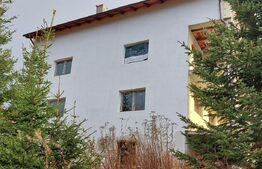 Vila 17 camere, 500 mp, 250 mp teren, Paltinis