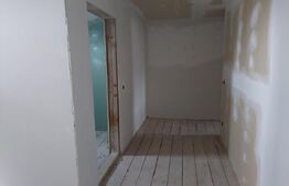 Vila 17 camere, 500 mp, 250 mp teren, Paltinis