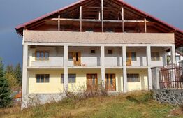 Vila 17 camere, 500 mp, 250 mp teren, Paltinis