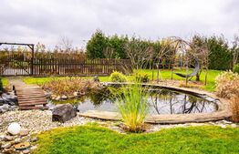 Casa 4 camere, teren de 1870 mp, Sura Mica