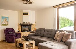 Casa 4 camere, teren de 1870 mp, Sura Mica