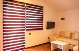 Casa 4 camere, teren de 1870 mp, Sura Mica