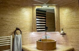 Casa 4 camere, teren de 1870 mp, Sura Mica