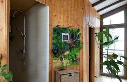 Casa 4 camere, teren de 1870 mp, Sura Mica