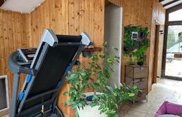 Casa 4 camere, teren de 1870 mp, Sura Mica