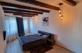 Casa individuala 9 camere, 300 mp suprafata utila, Ultracentral