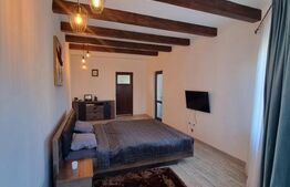 Casa individuala 9 camere, 300 mp suprafata utila, Ultracentral